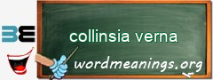 WordMeaning blackboard for collinsia verna
